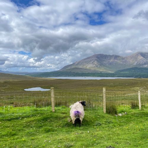 IRLANDE